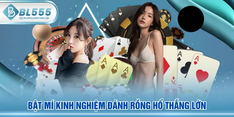 Bật mí kinh nghiệm đánh Rồng Hổ thắng lớn