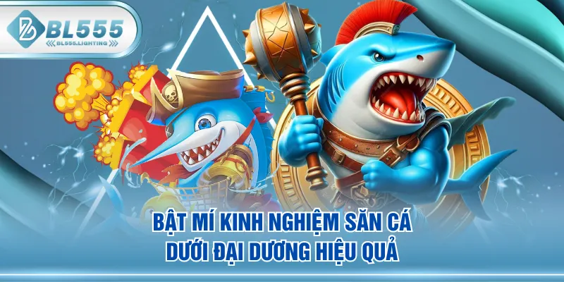 Bật mí kinh nghiệm săn cá dưới đại dương hiệu quả