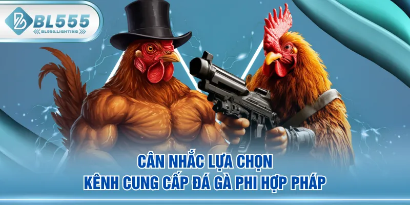 Cân nhắc lựa chọn kênh cung cấp đá gà Phi hợp pháp