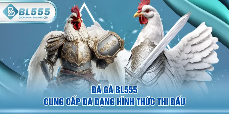 Đá Gà BL555 cung cấp đa dạng hình thức thi đấu