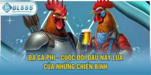 Đá Gà Phi - Cuộc Đối Đầu Nảy Lửa Của Những Chiến Binh