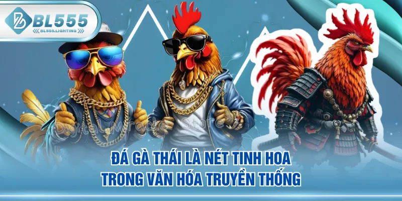 Đá gà Thái là nét tinh hoa trong văn hóa truyền thống