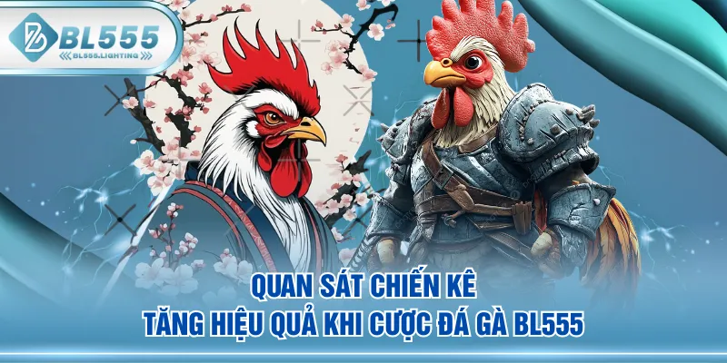 Quan sát chiến kê tăng hiệu quả khi cược Đá Gà BL555