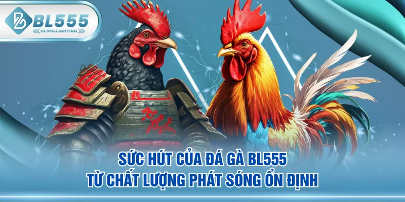 Sức hút của Đá Gà BL555 từ chất lượng phát sóng ổn định