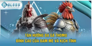 Tận Hưởng Đá Gà Thomo - Đỉnh Cao Của Đam Mê Và Kịch Tính