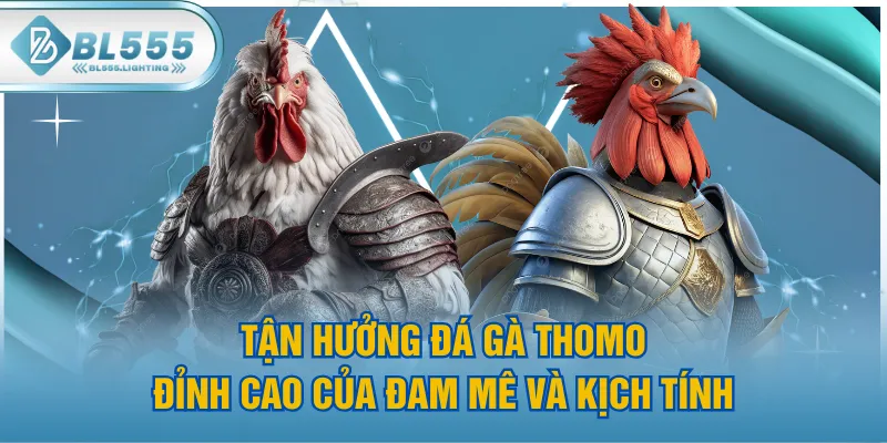 Tận Hưởng Đá Gà Thomo - Đỉnh Cao Của Đam Mê Và Kịch Tính
